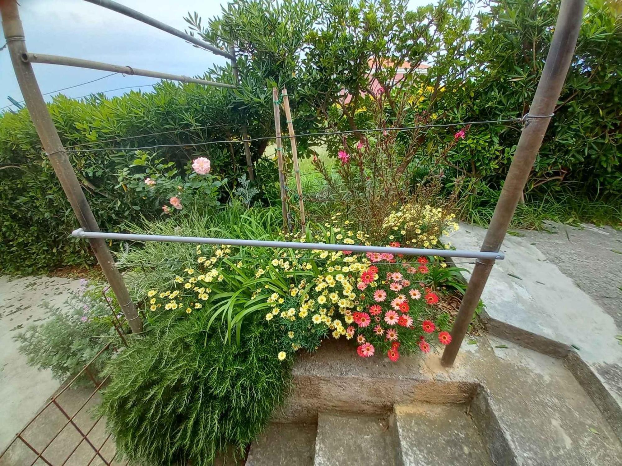 Apartments In Rab - Insel Rab 39950 Mundanije エクステリア 写真