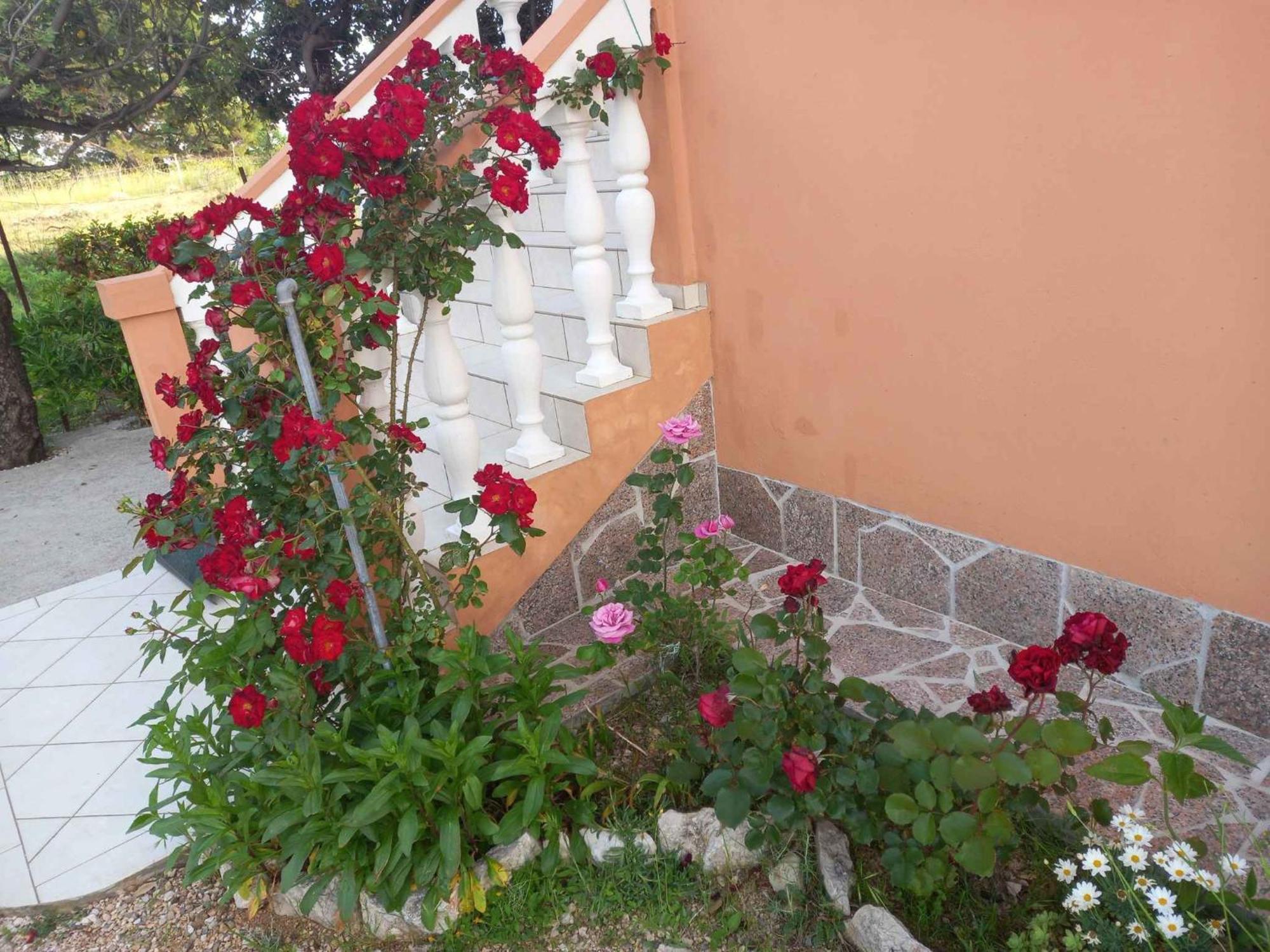 Apartments In Rab - Insel Rab 39950 Mundanije エクステリア 写真