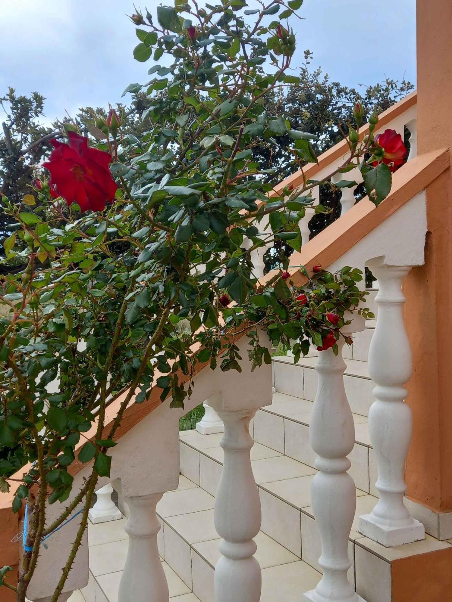 Apartments In Rab - Insel Rab 39950 Mundanije エクステリア 写真